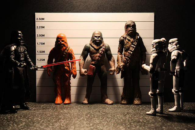 1009FuzballSuspects