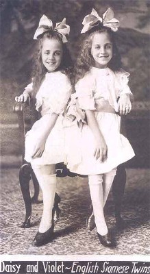 Violetdaisykids