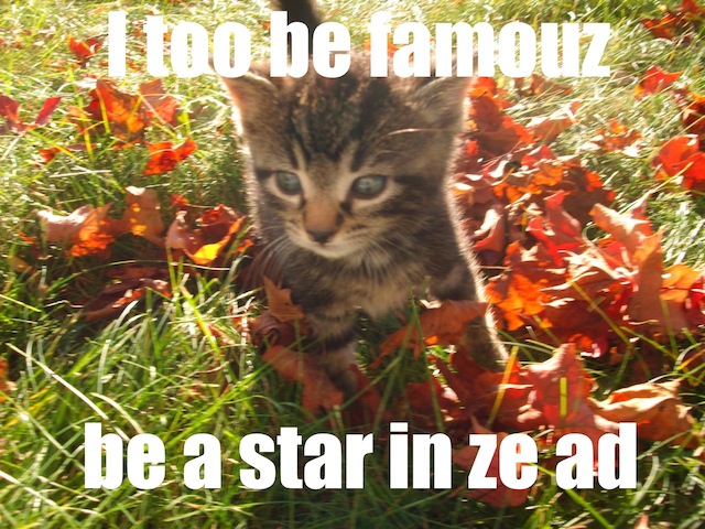 lolcat